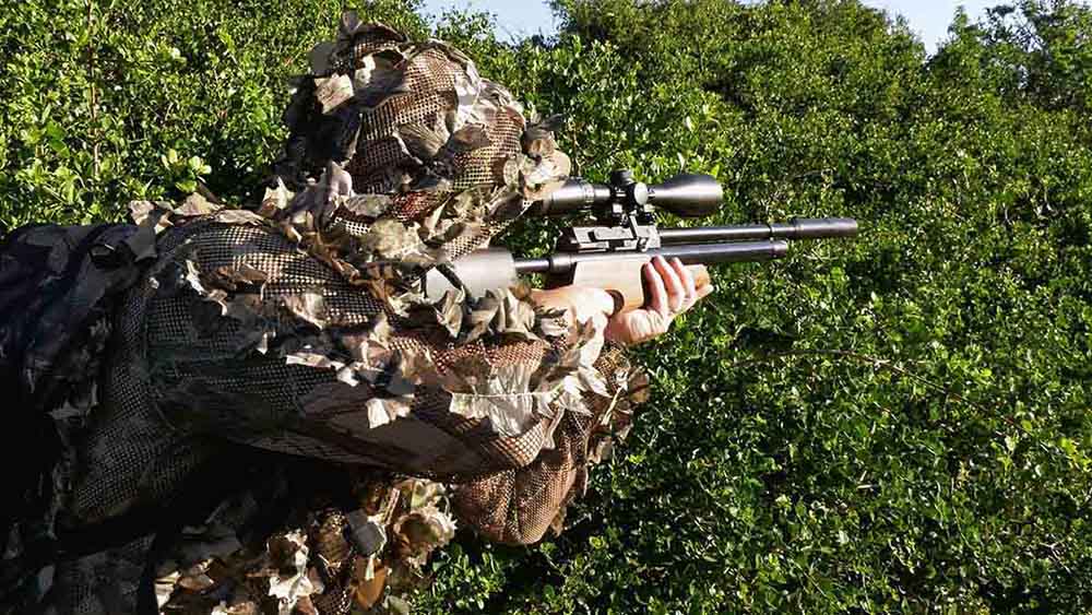 Airgun Hunting: Guinea Fowl & Geese Shooting
